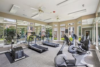 A gym with treadmills, elliptical machines, and a fan.